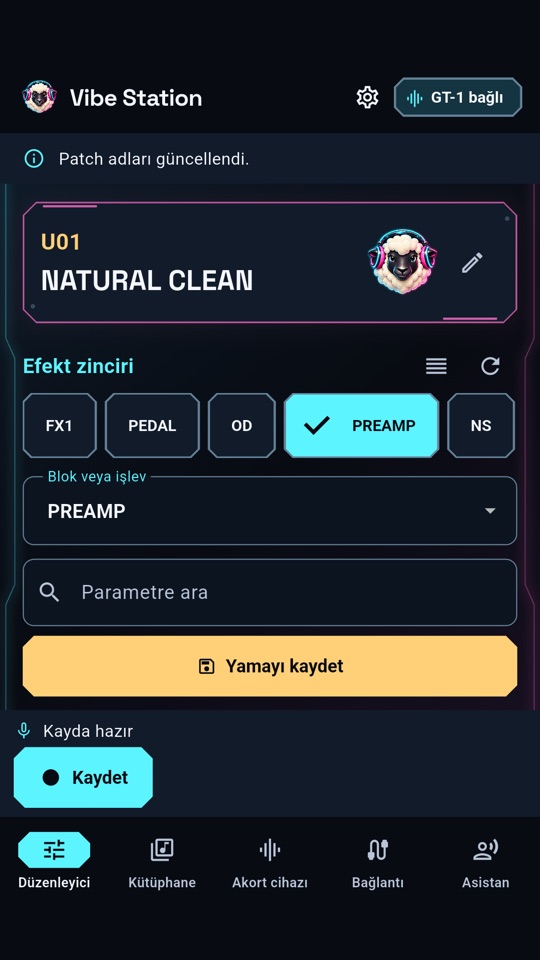 Vibe Station — parametre düzenleyici